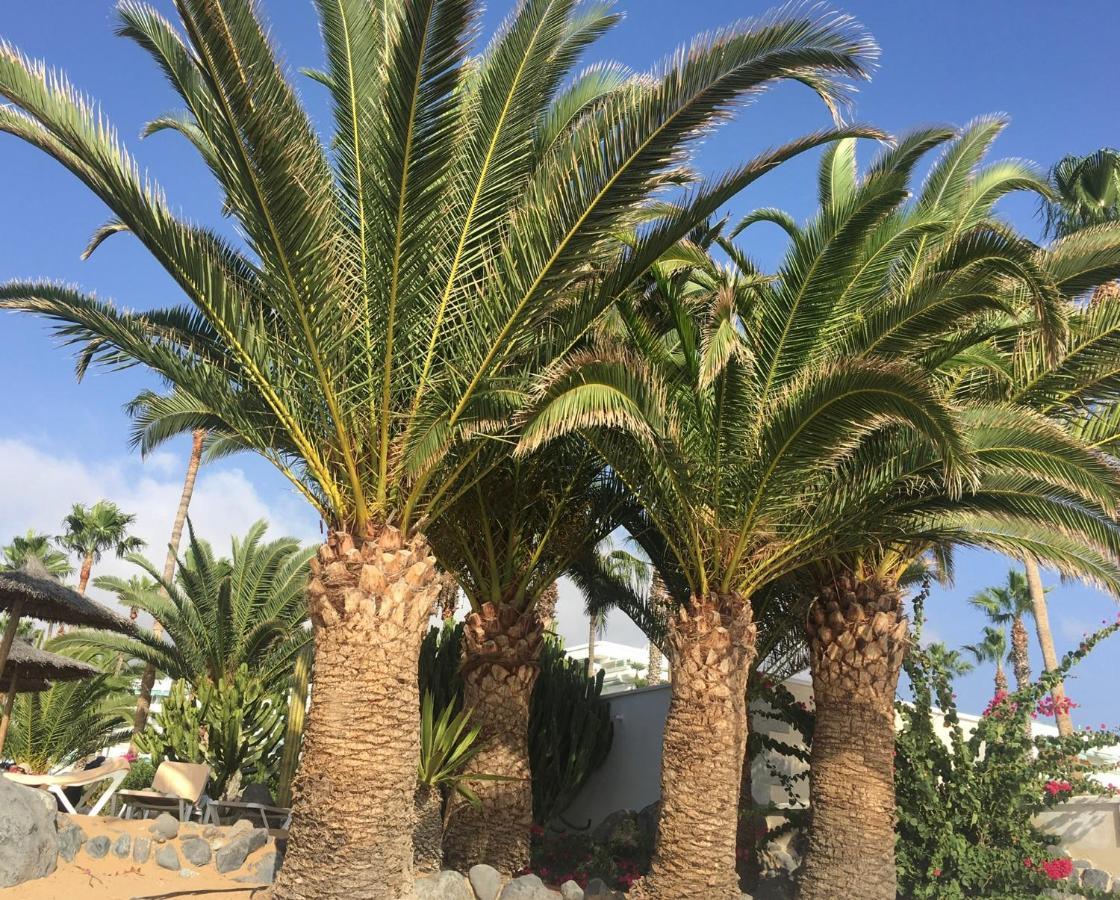 Cosy Apartment With Rooftop Terrace And Wifi Valle de San Lorenzo Esterno foto